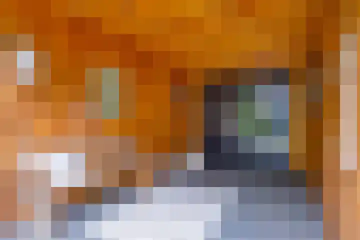 Ceram 95 Barneveld thumbnail 33