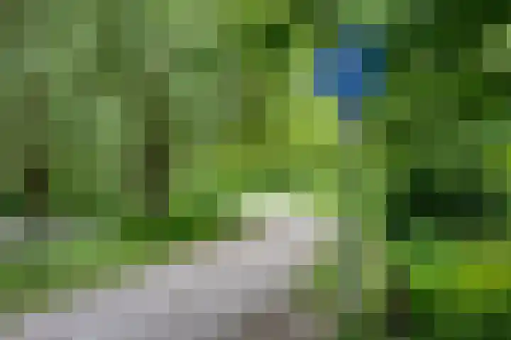 Ceram 95 Barneveld thumbnail 37