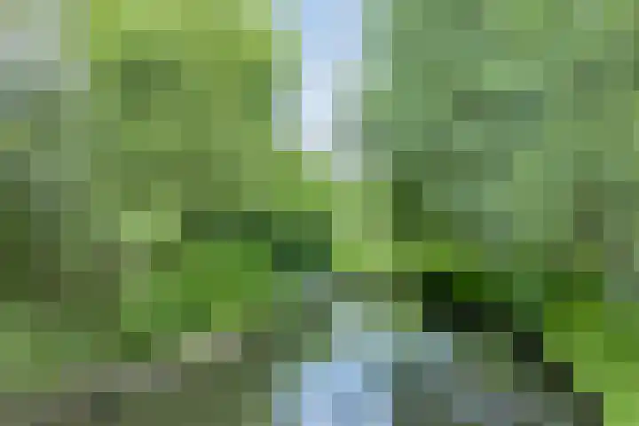 Ceram 95 Barneveld thumbnail 38