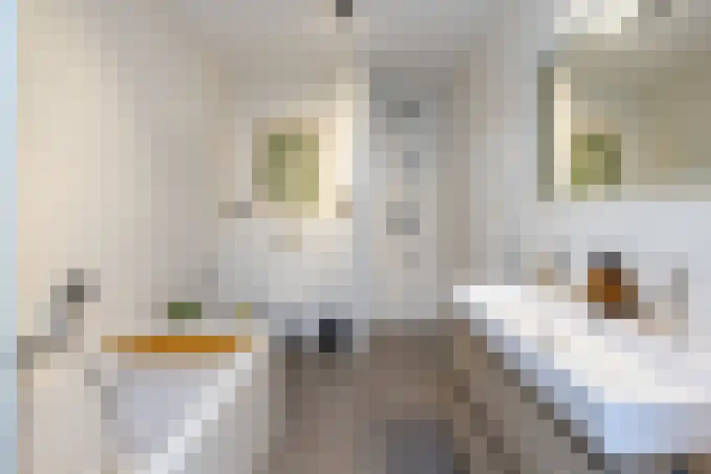 Céramiquelaan 337 Amsterdam thumbnail 40