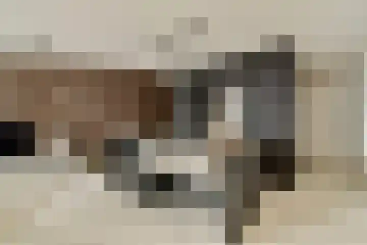 Céramiquelaan 373 Amsterdam thumbnail 9