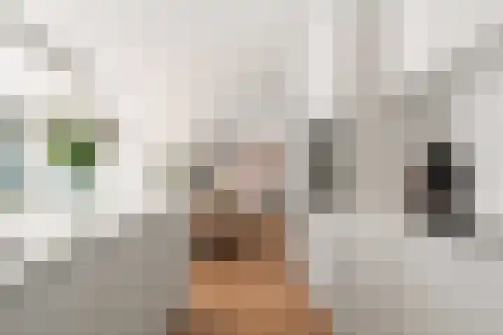 Céramiquelaan 405 Amsterdam thumbnail 15