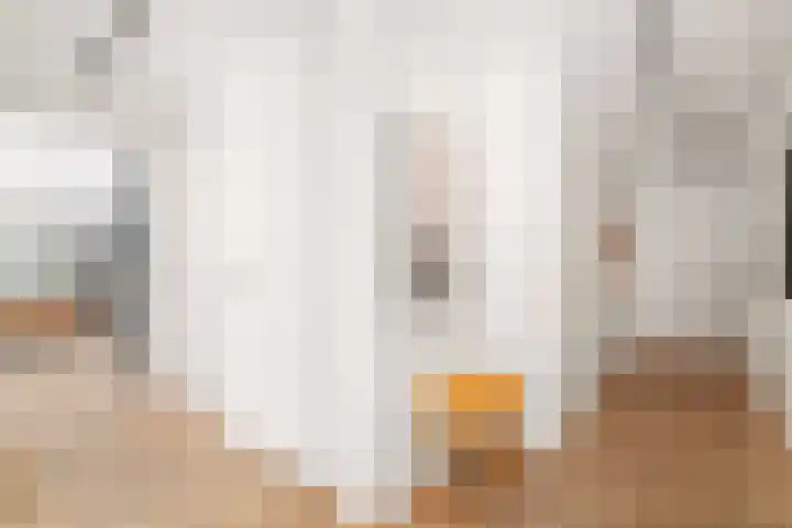 Céramiquelaan 405 Amsterdam thumbnail 31