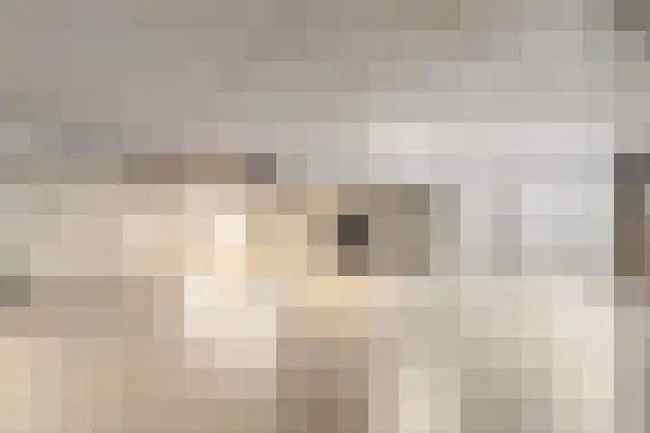 Céramiquelaan 405 Amsterdam thumbnail 36