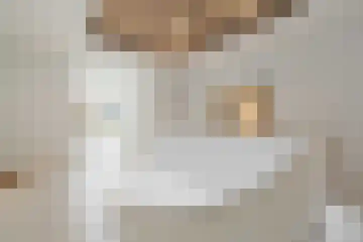 Céramiquelaan 405 Amsterdam thumbnail 39