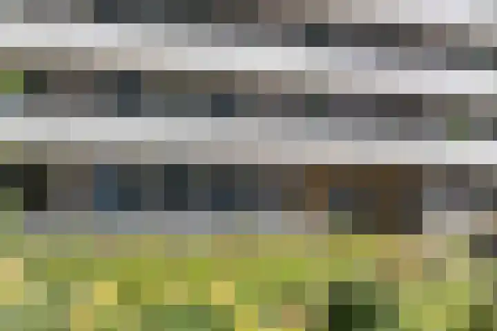 Céramiquelaan 405 Amsterdam thumbnail 44