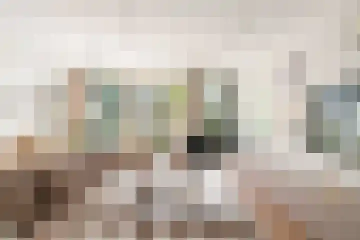 Céramiquelaan 405 Amsterdam thumbnail 5