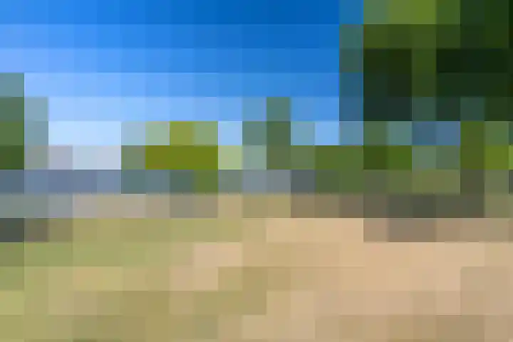Céramiquelaan 405 Amsterdam thumbnail 51