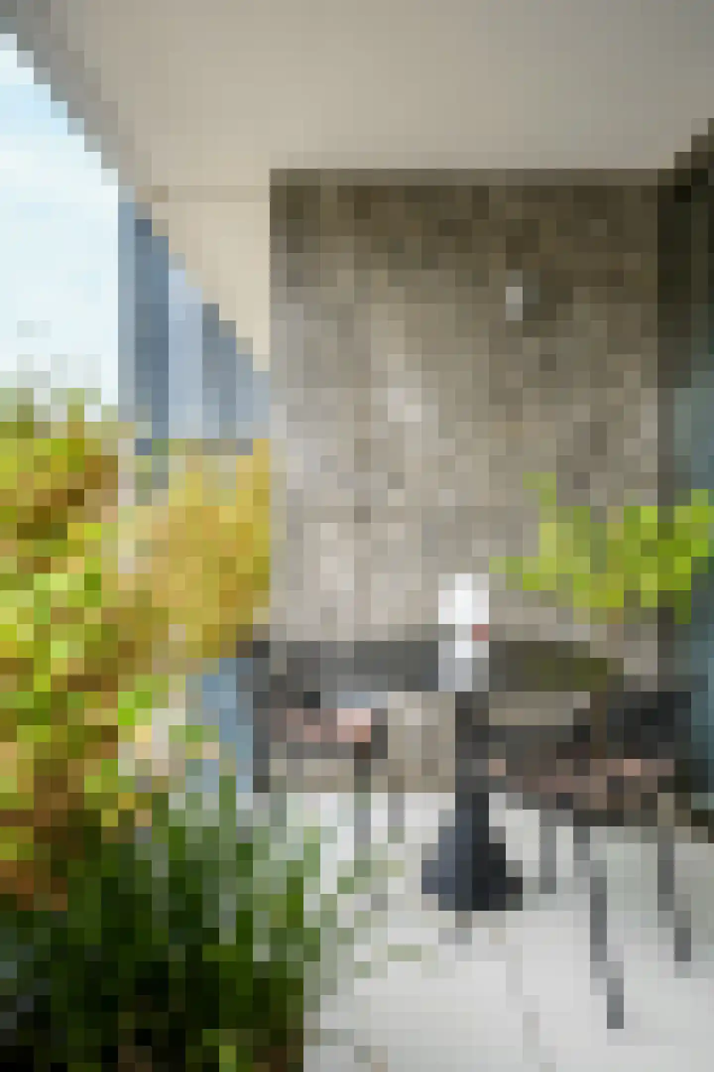 Céramiquelaan 417 Amsterdam thumbnail 19