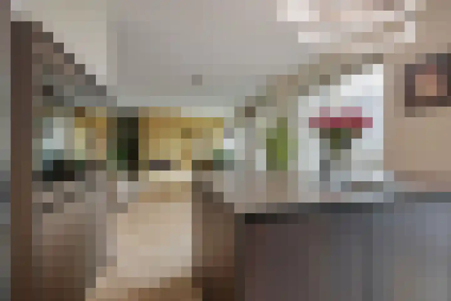 Céramiquelaan 715 Amsterdam thumbnail 15