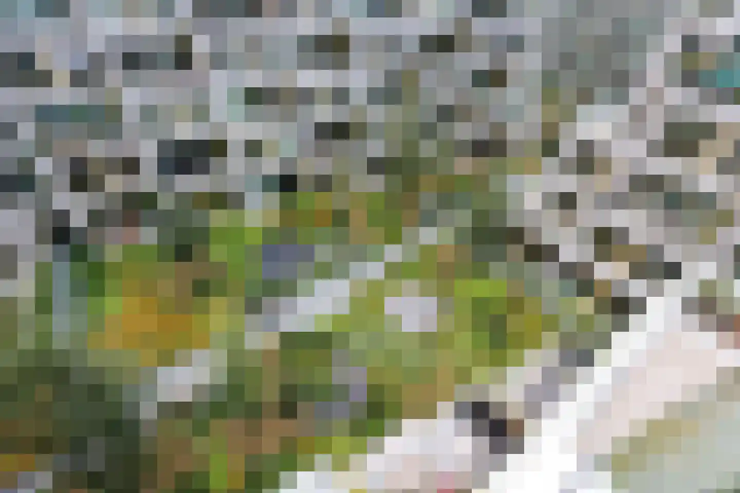 Céramiquelaan 715 Amsterdam thumbnail 18