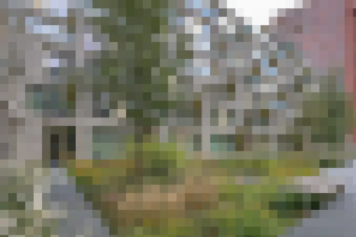 Céramiquelaan 715 Amsterdam thumbnail 33
