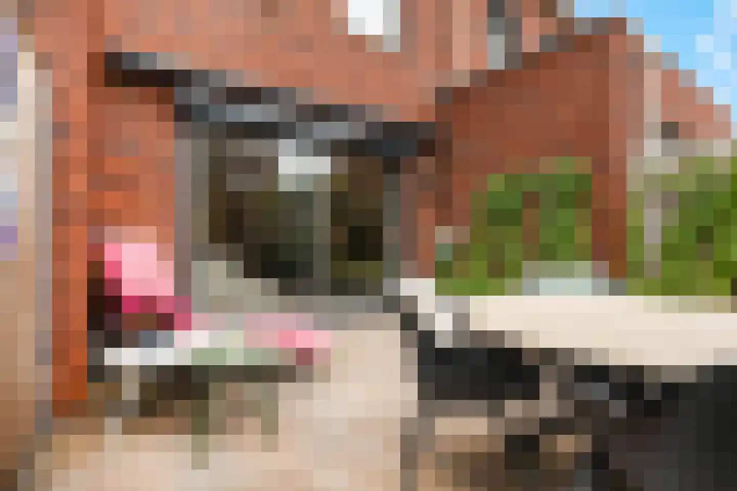 Ceramlaan 14 Ede thumbnail 37