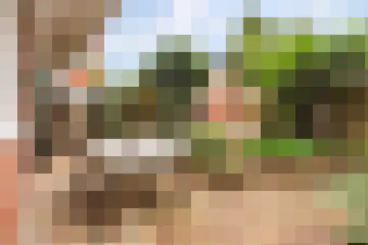 Ceramstraat 3 Groningen thumbnail 24