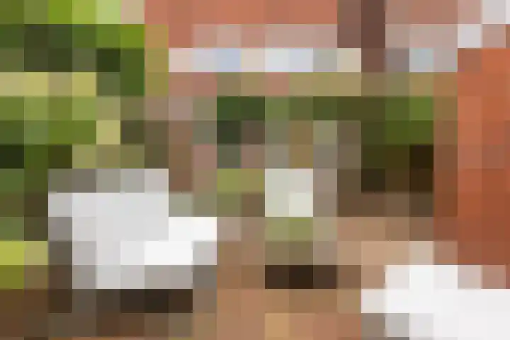 Ceramstraat 3 Groningen thumbnail 27