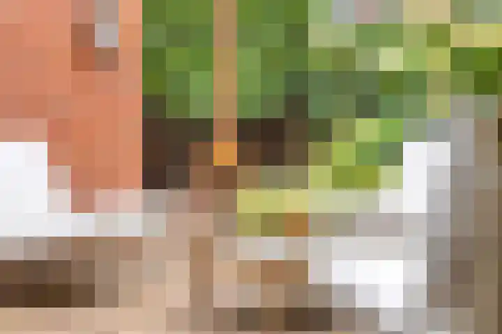 Ceramstraat 3 Groningen thumbnail 28