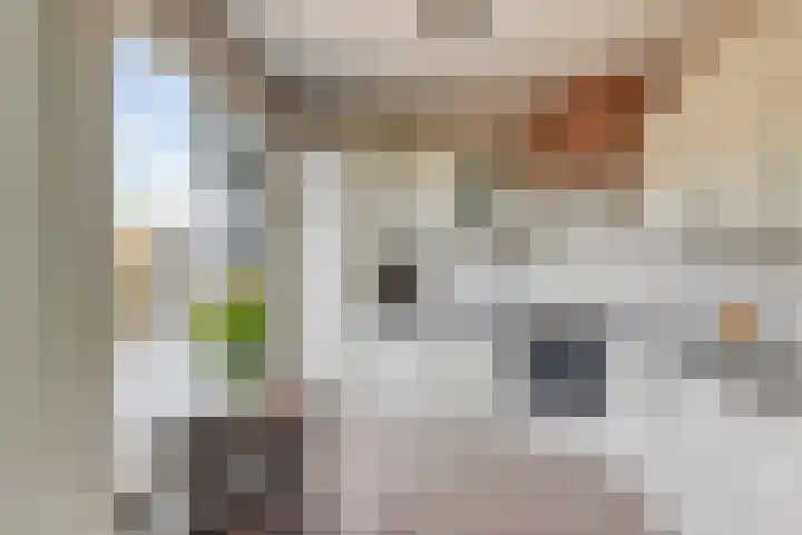 Ceramstraat 5 Capelle aan den IJssel thumbnail 10
