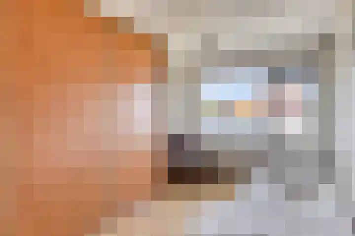 Ceramstraat 5 Capelle aan den IJssel thumbnail 16