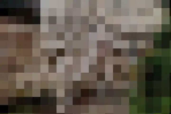 Ceramstraat 5 Capelle aan den IJssel thumbnail 28