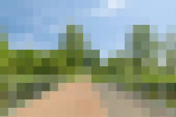 Ceramstraat 5 Capelle aan den IJssel thumbnail 31