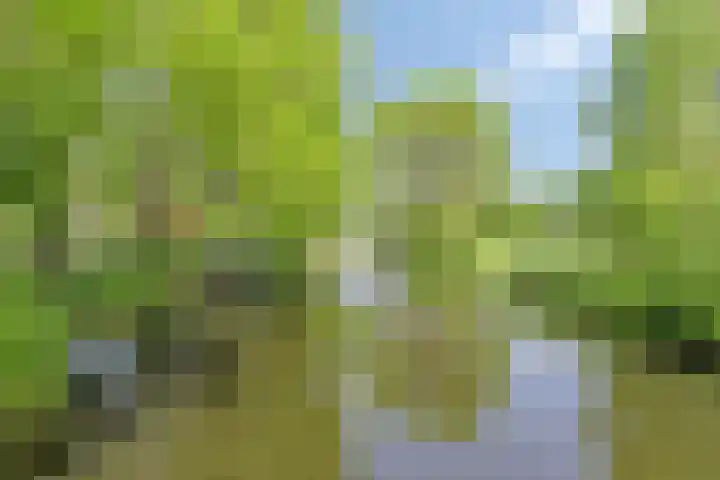 Ceramstraat 5 Capelle aan den IJssel thumbnail 32