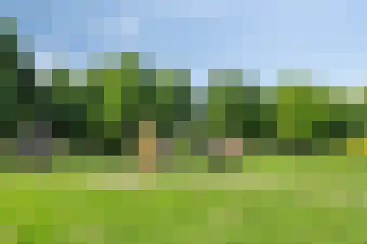 Ceramstraat 5 Capelle aan den IJssel thumbnail 35