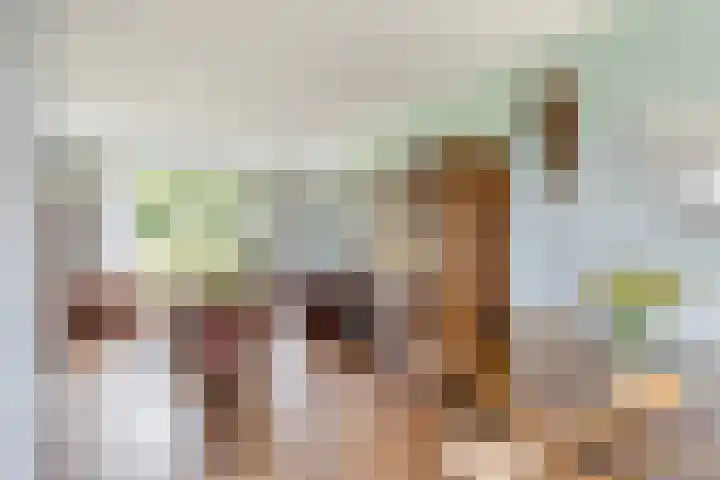 Ceramstraat 5 Capelle aan den IJssel thumbnail 6