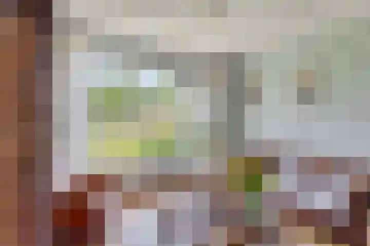 Ceramstraat 5 Capelle aan den IJssel thumbnail 7