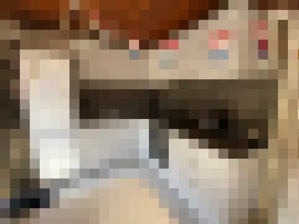 Ceramstraat Groningen thumbnail 4