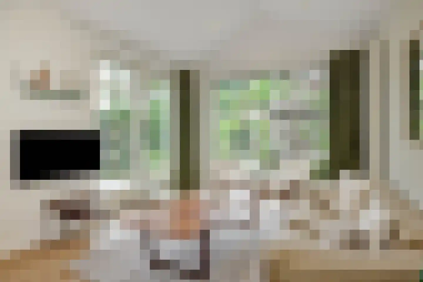 Cerberusstraat 58 Rosmalen thumbnail 10