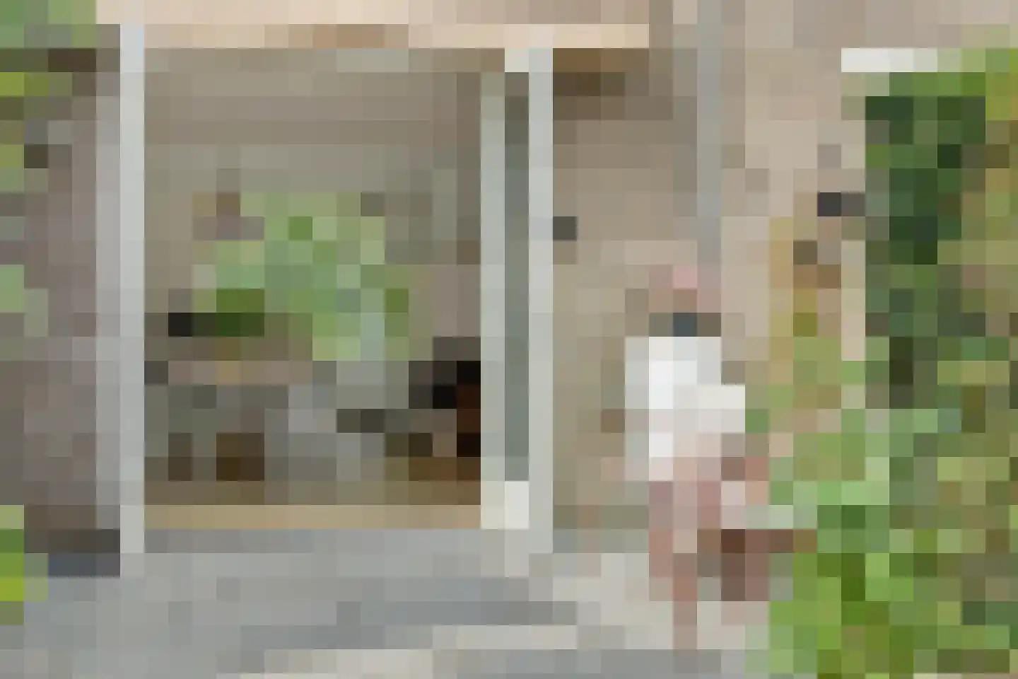 Cerberusstraat 58 Rosmalen thumbnail 17