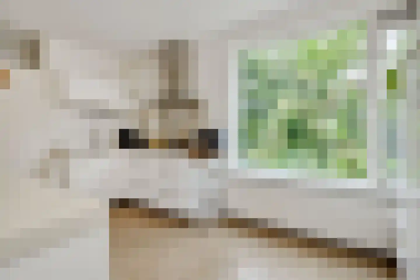Cerberusstraat 58 Rosmalen thumbnail 24