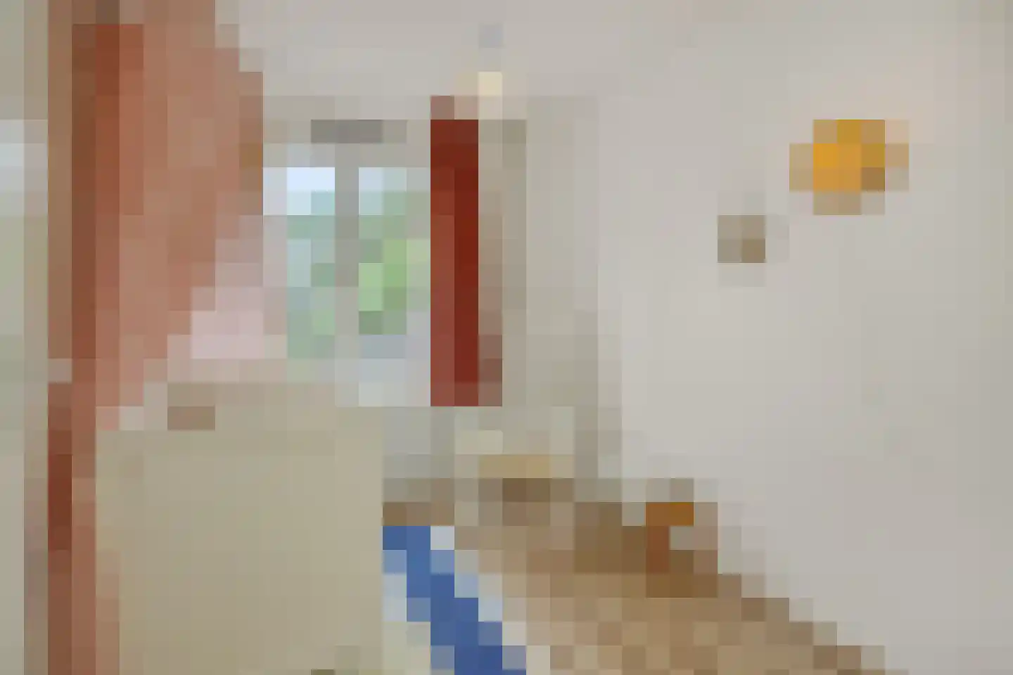 Cerberusstraat 58 Rosmalen thumbnail 26