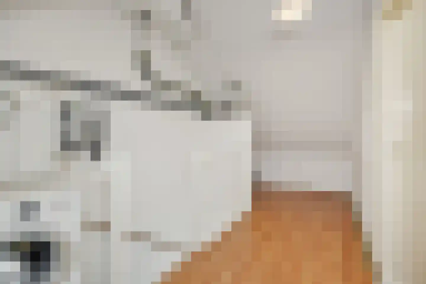 Cerberusstraat 58 Rosmalen thumbnail 37