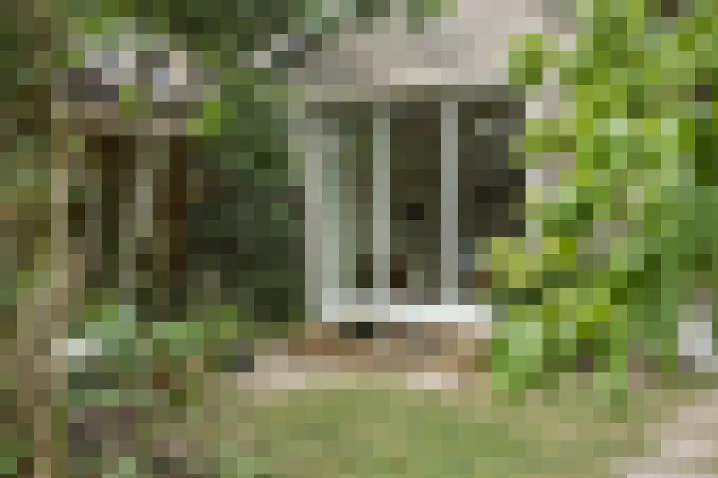 Cerberusstraat 58 Rosmalen thumbnail 46
