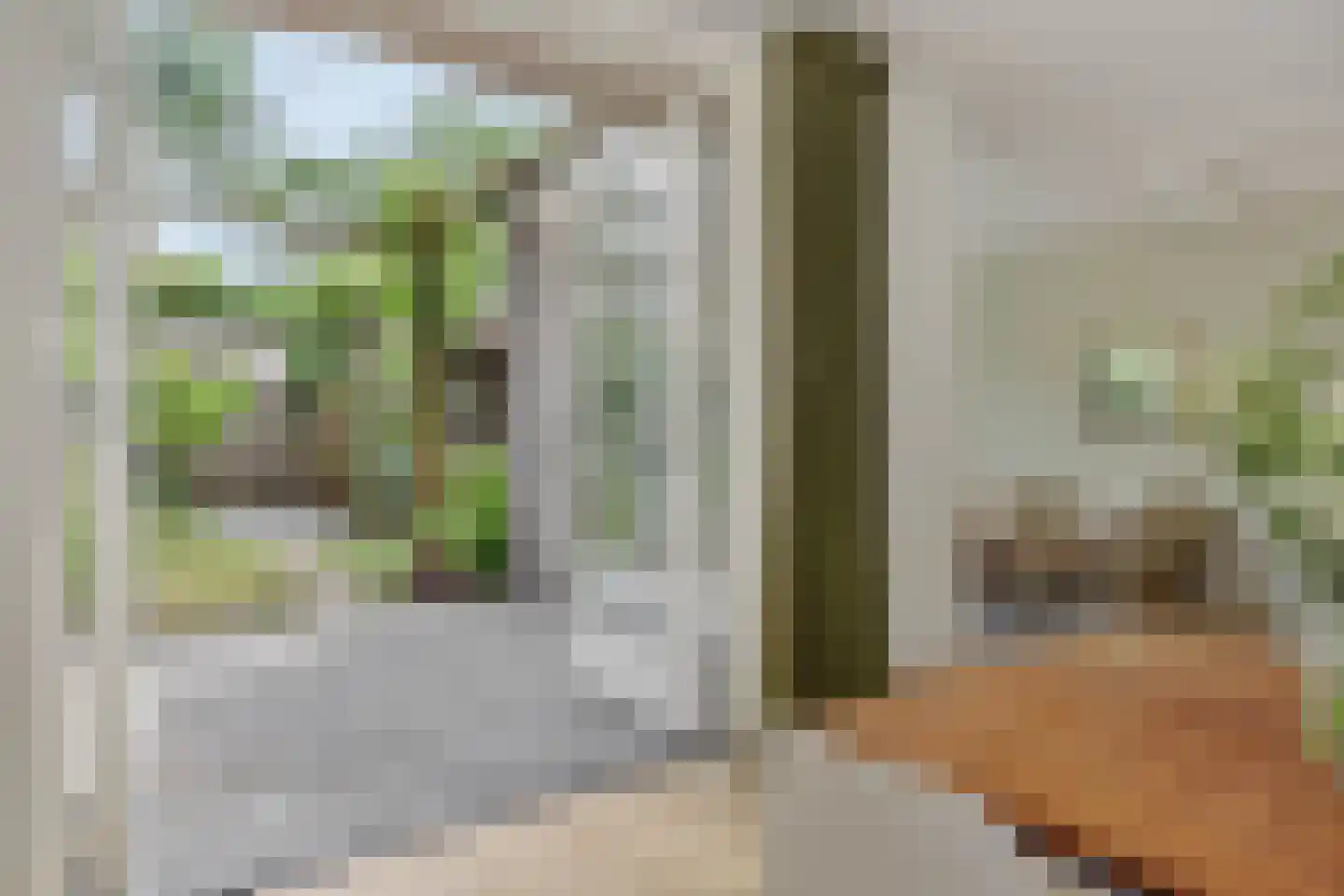 Cerberusstraat 58 Rosmalen thumbnail 7