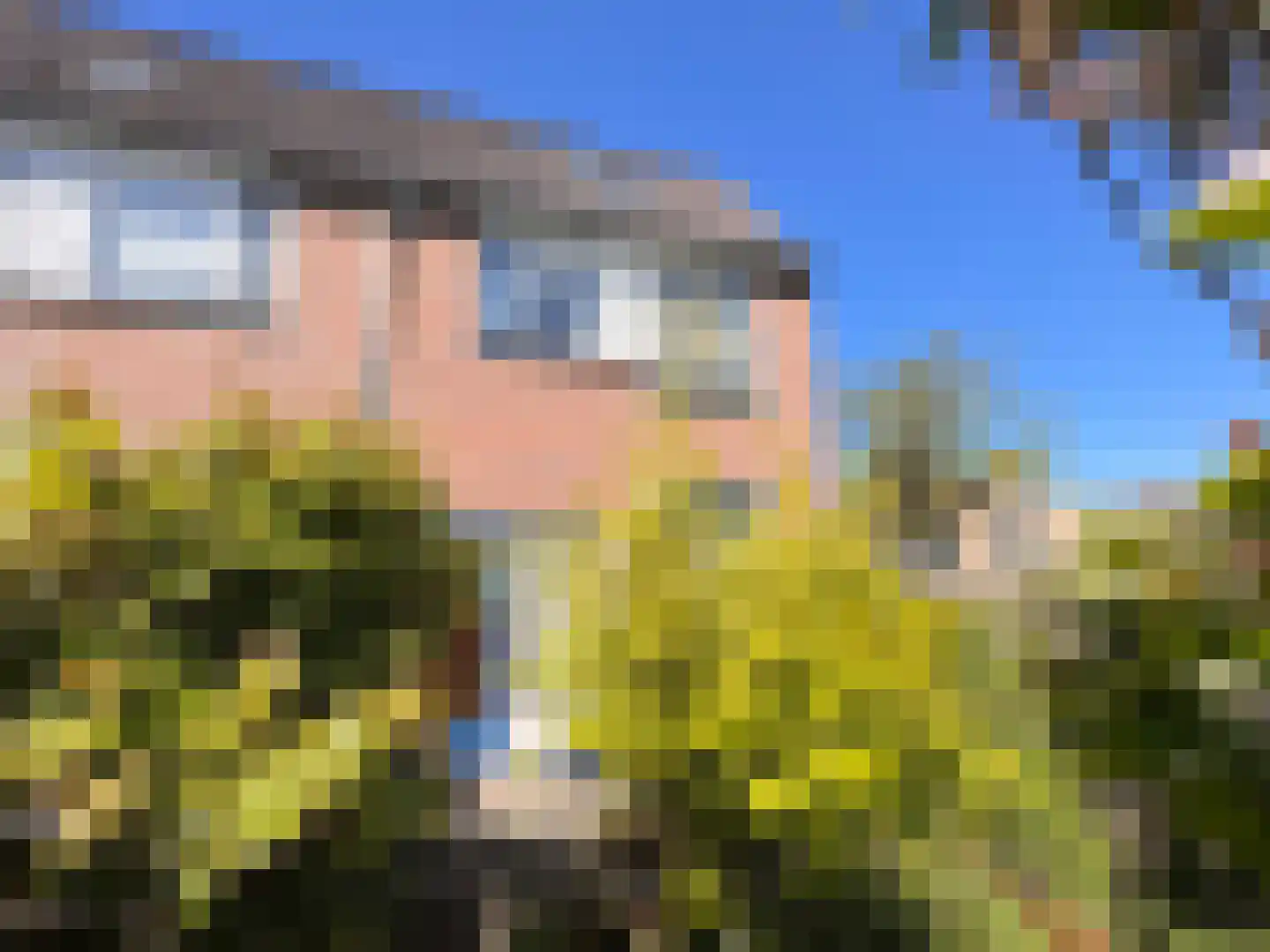 Ceres 1 Oostburg thumbnail 13