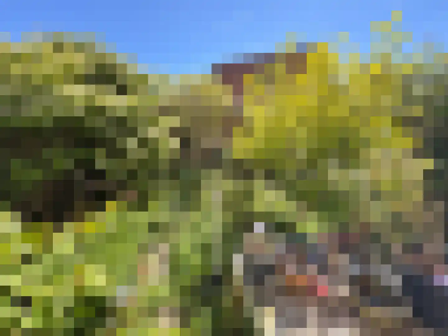 Ceres 1 Oostburg thumbnail 14