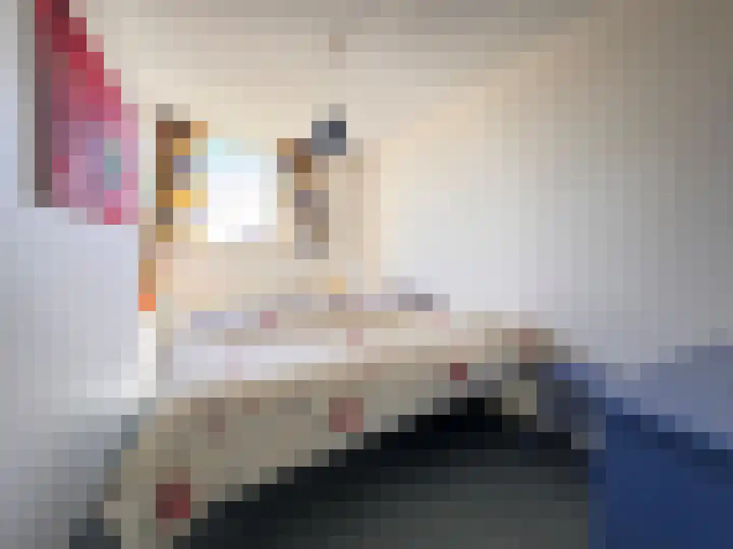 Ceres 1 Oostburg thumbnail 16