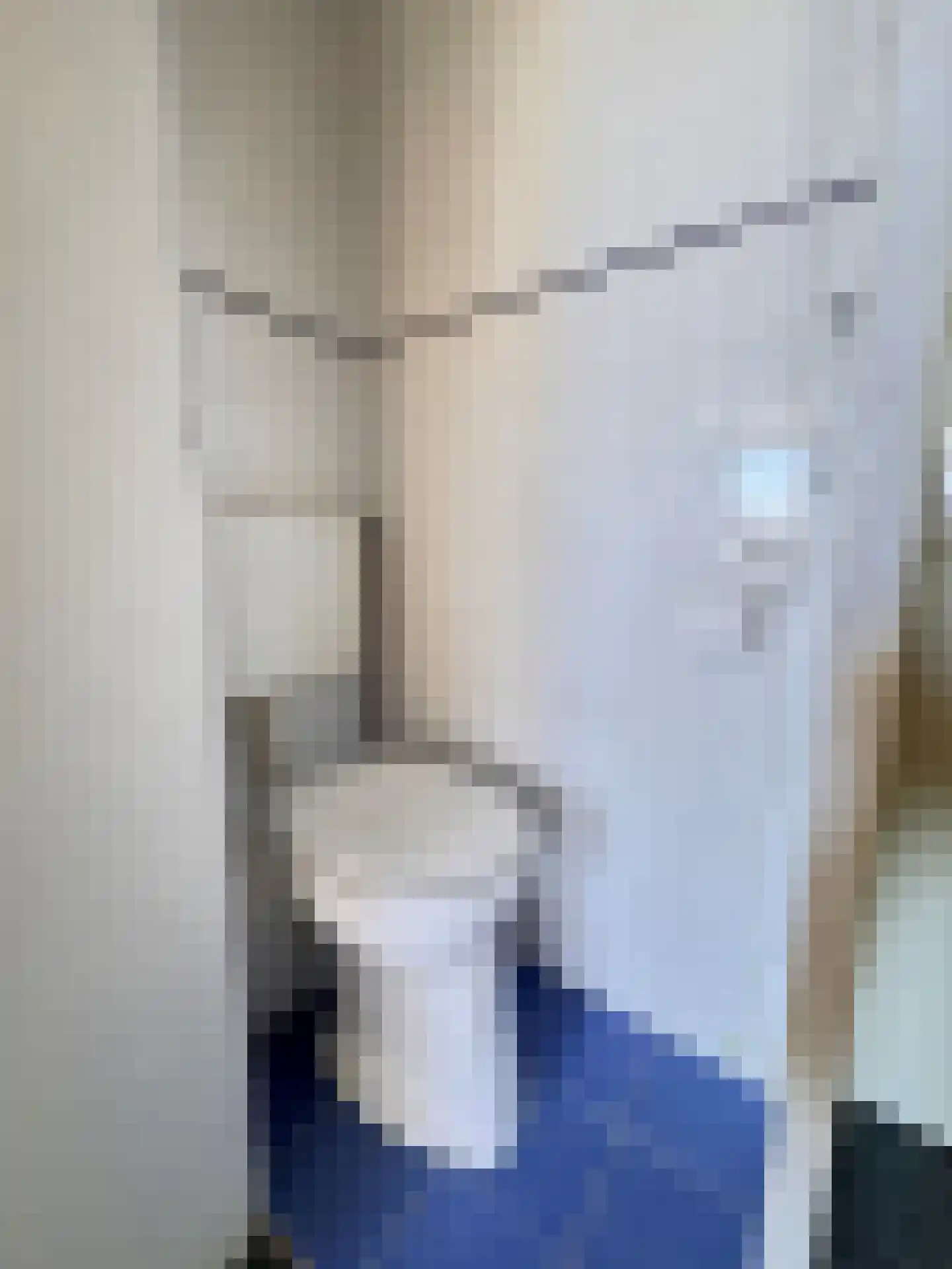 Ceres 1 Oostburg thumbnail 20