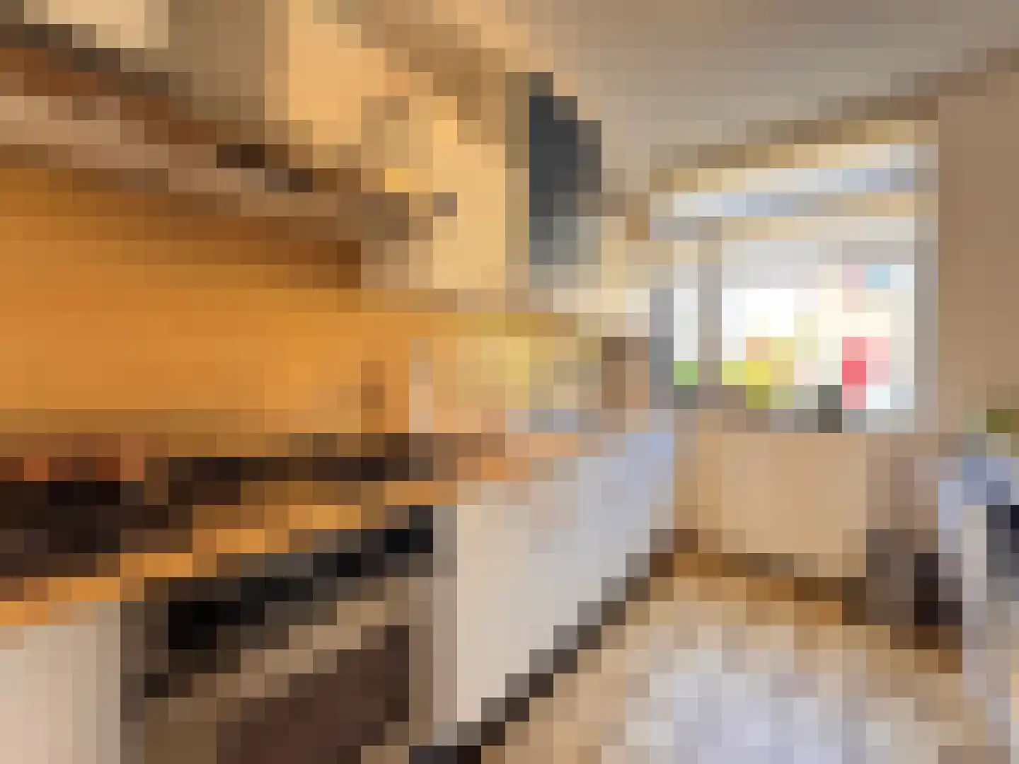 Ceres 1 Oostburg thumbnail 7