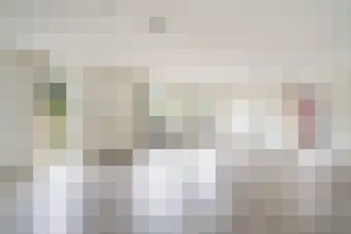 Ceres 12 Weert thumbnail 13