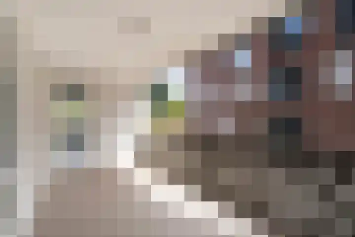 Ceres 12 Weert thumbnail 25