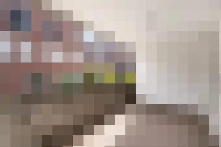 Ceres 12 Weert thumbnail 26