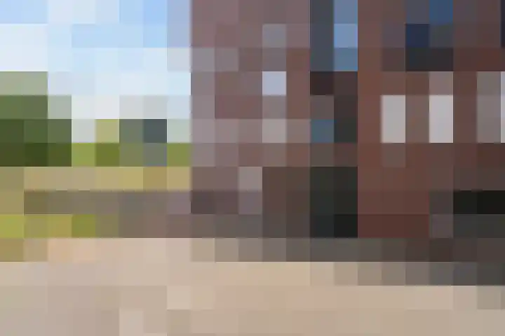 Ceres 12 Weert thumbnail 27