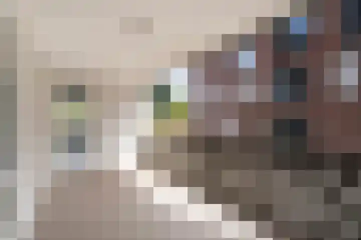 Ceres 12 Weert thumbnail 5