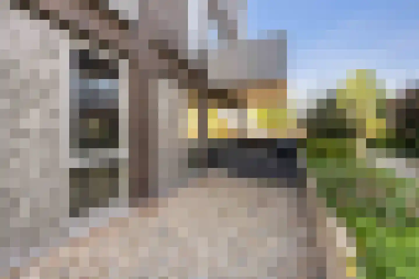 Ceres 13 Weert thumbnail 34
