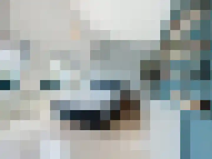 Ceres 19 Oostburg thumbnail 12