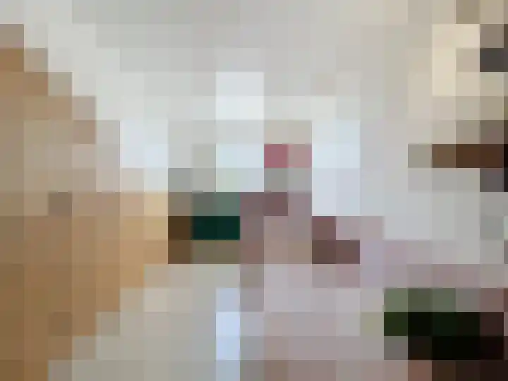Ceres 19 Oostburg thumbnail 14