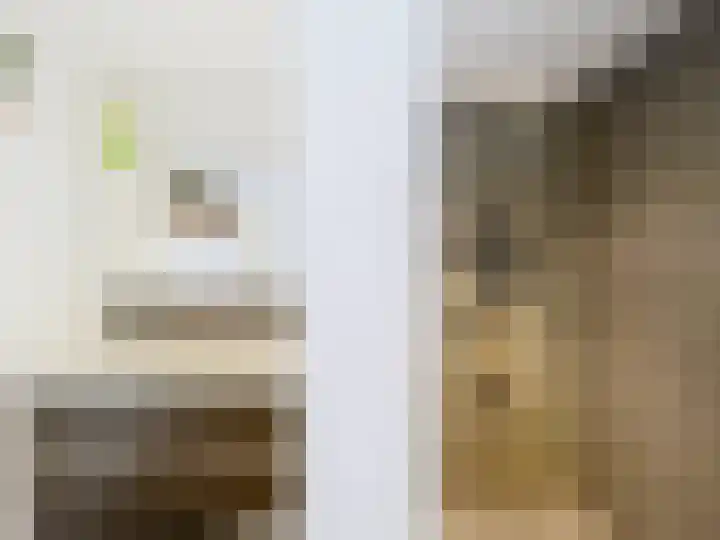 Ceres 19 Oostburg thumbnail 17